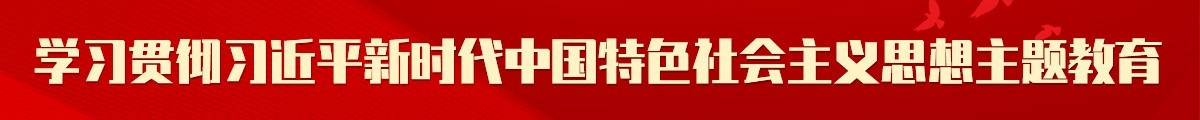 學(xué)習(xí)貫徹習(xí)近平新時(shí)代中國(guó)特色社會(huì)主義思想主題教育