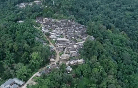 云南普洱景迈山古茶林申遗成功背后有哪些原因