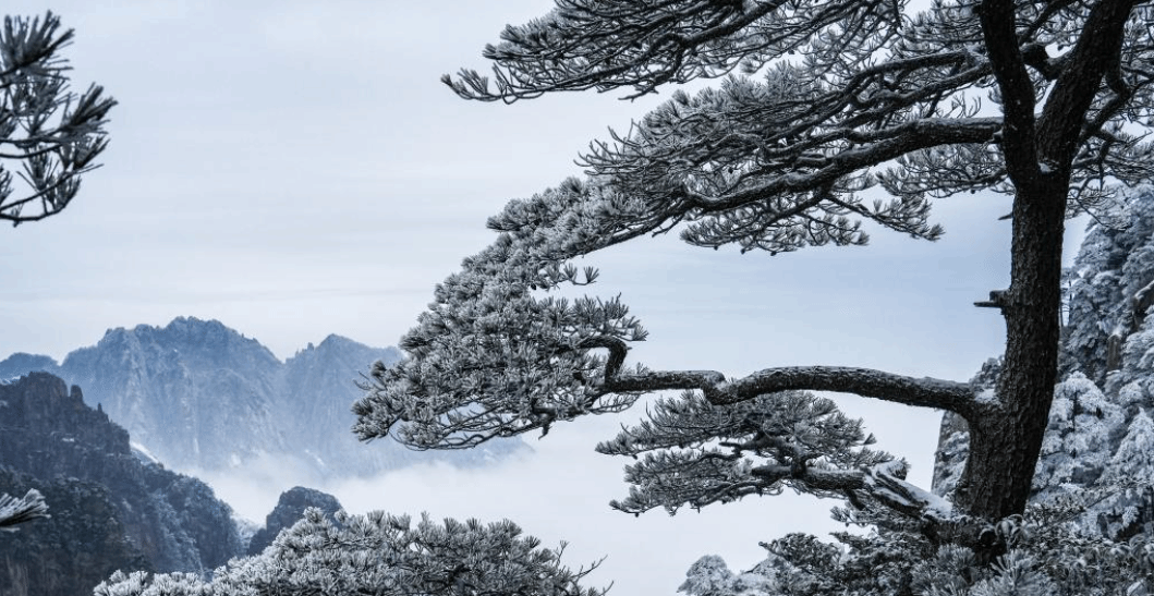 安徽黄山初春现雾凇美景