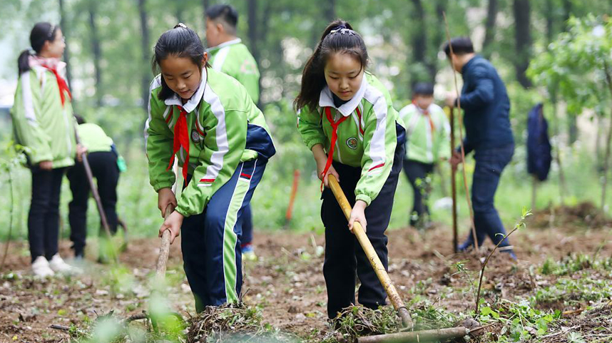 户外劳动课堂 学习劳动知识