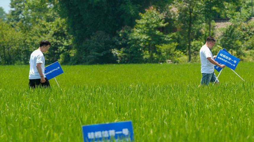 从实验室到田野 用科技追逐梦想