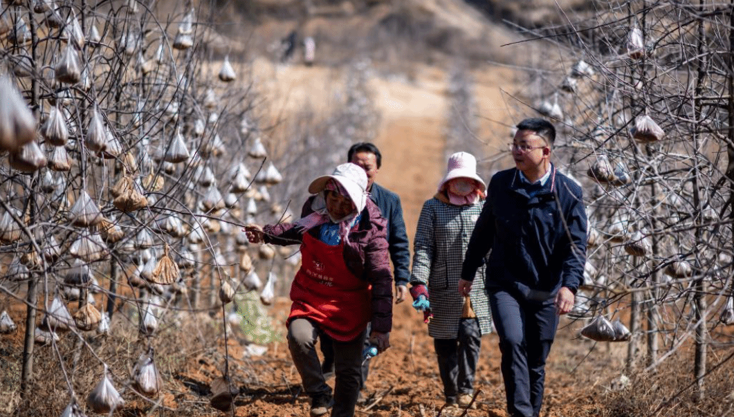 代表委员履职故事｜全国人大代表袁海波：“我是农民工，更懂农民工”