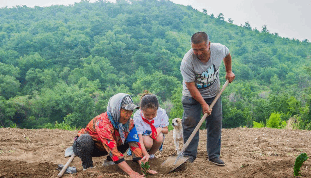 夫妻植树护林40年 荒山秃岭变绿洲“鹭岭”