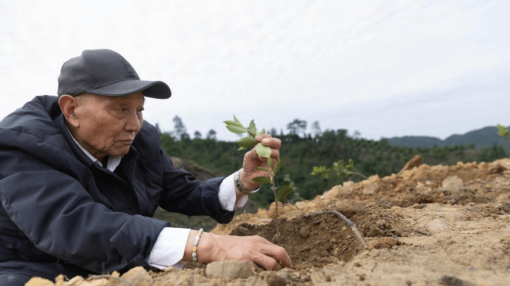 爷孙三代接力种树25载 3000亩荒山变林海