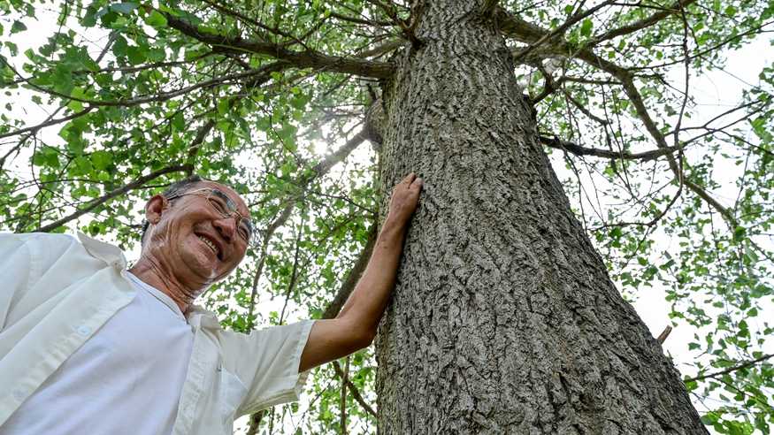 从荒漠到林海：73岁蒙古族老人百顺的治沙故事