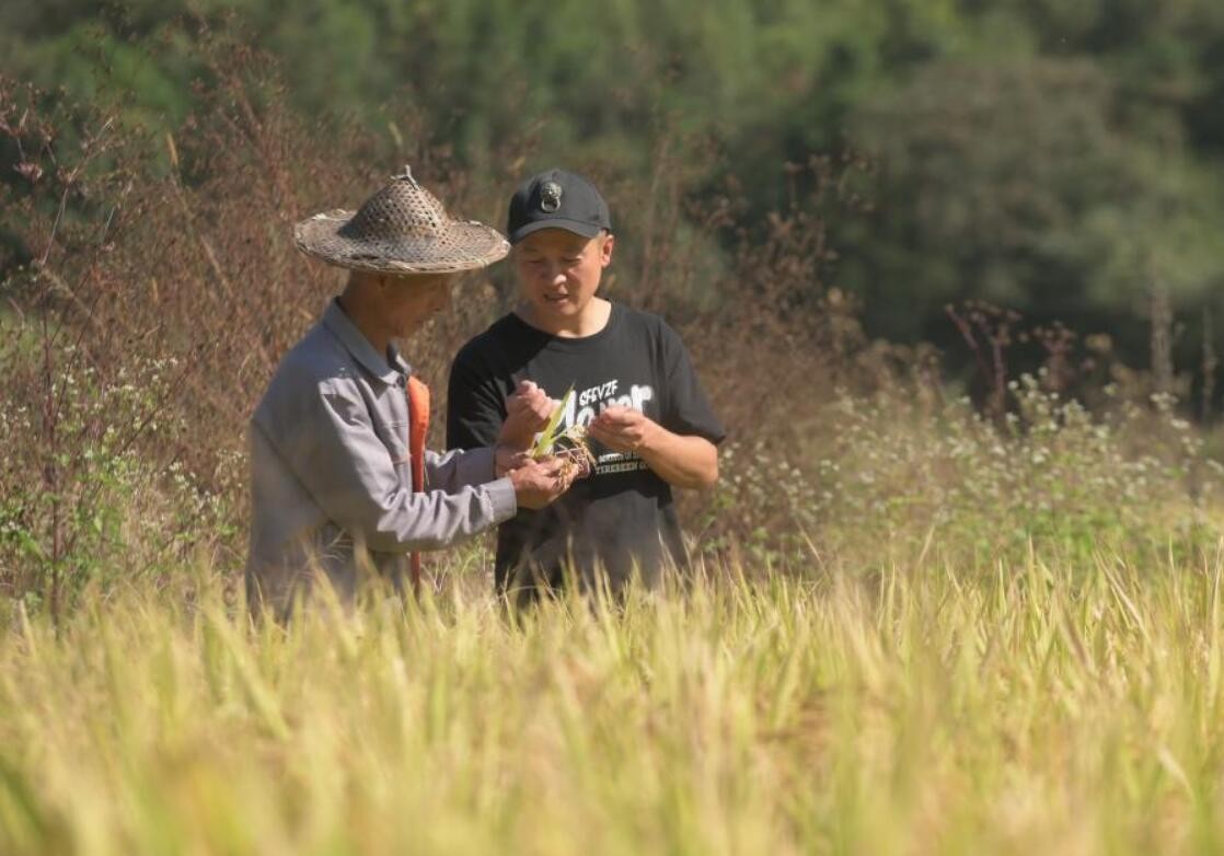 返乡夫妻共同创业 助力乡村振兴