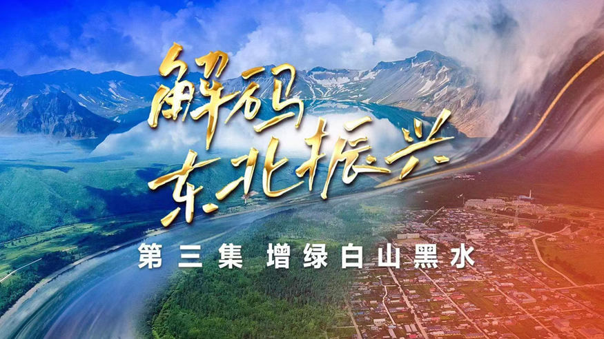 六集政論片《解碼東北振興》第三集：增綠白山黑水