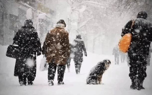 骨科医生建议：雪天行走双手别插兜 老年人尽量不出门