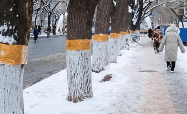 皮肤鼓包凹陷怎么破？打胰岛素的技巧学起来