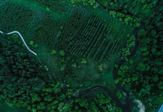 讨厌一个人 最有水平的处理方式