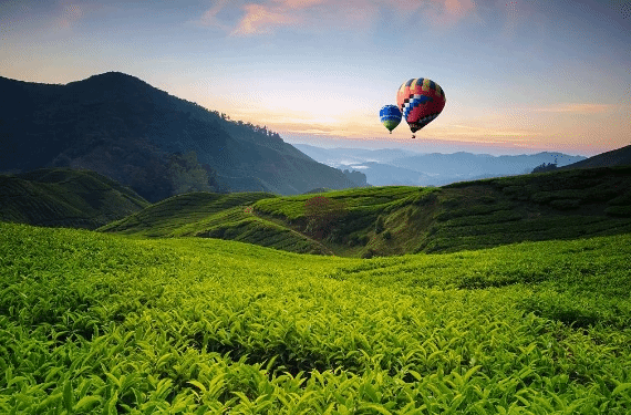 一个人变富的根本原因：永远感恩