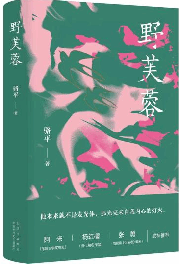 长篇小说《野芙蓉》：70后的心灵回溯