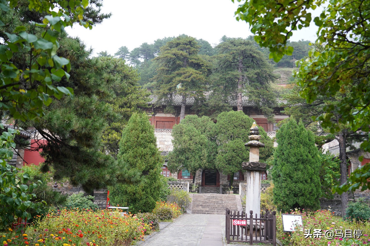 山西有個古寺，游客不多卻藏有中國少有的唐代木建筑，關(guān)鍵還免費