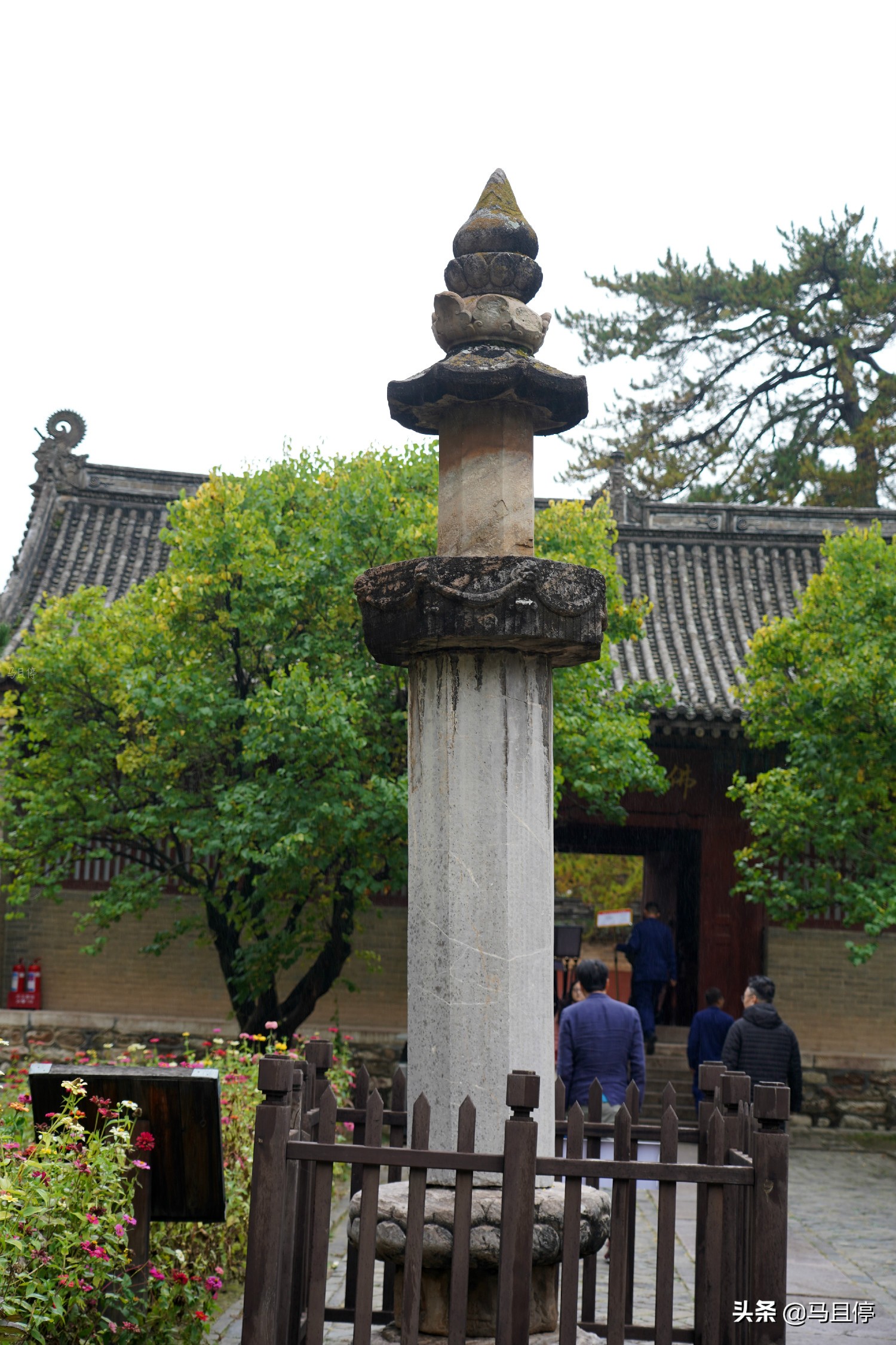 山西有個古寺，游客不多卻藏有中國少有的唐代木建筑，關(guān)鍵還免費