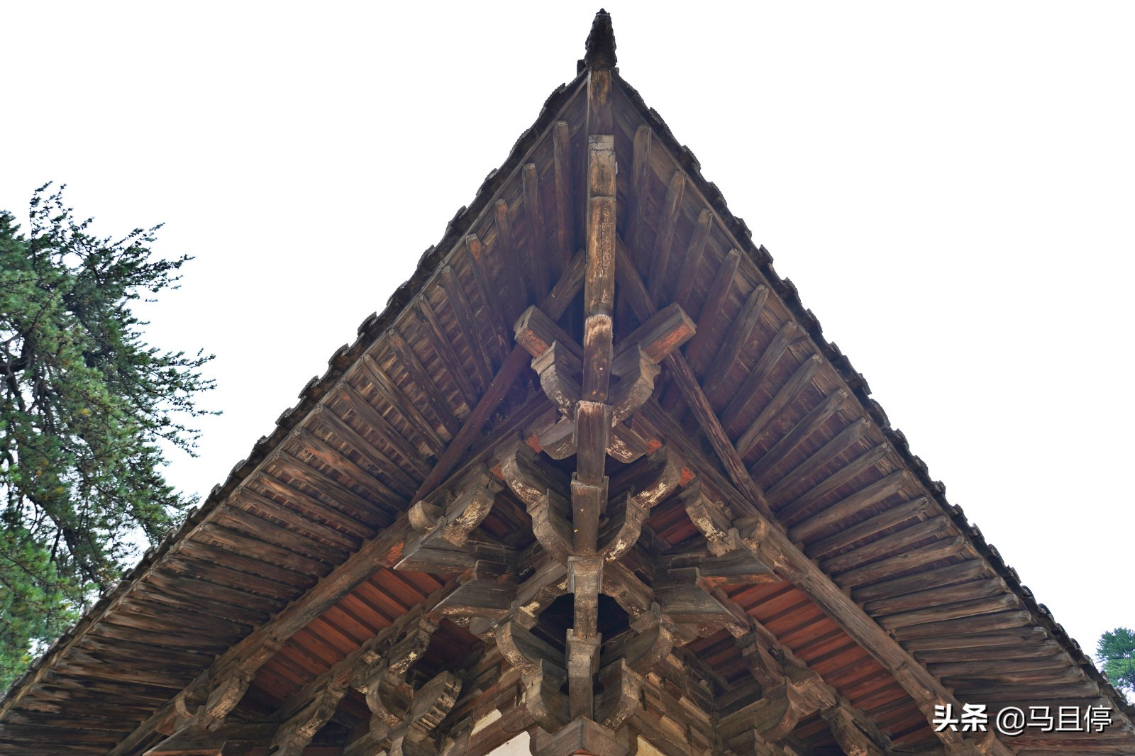 山西有個古寺，游客不多卻藏有中國少有的唐代木建筑，關(guān)鍵還免費