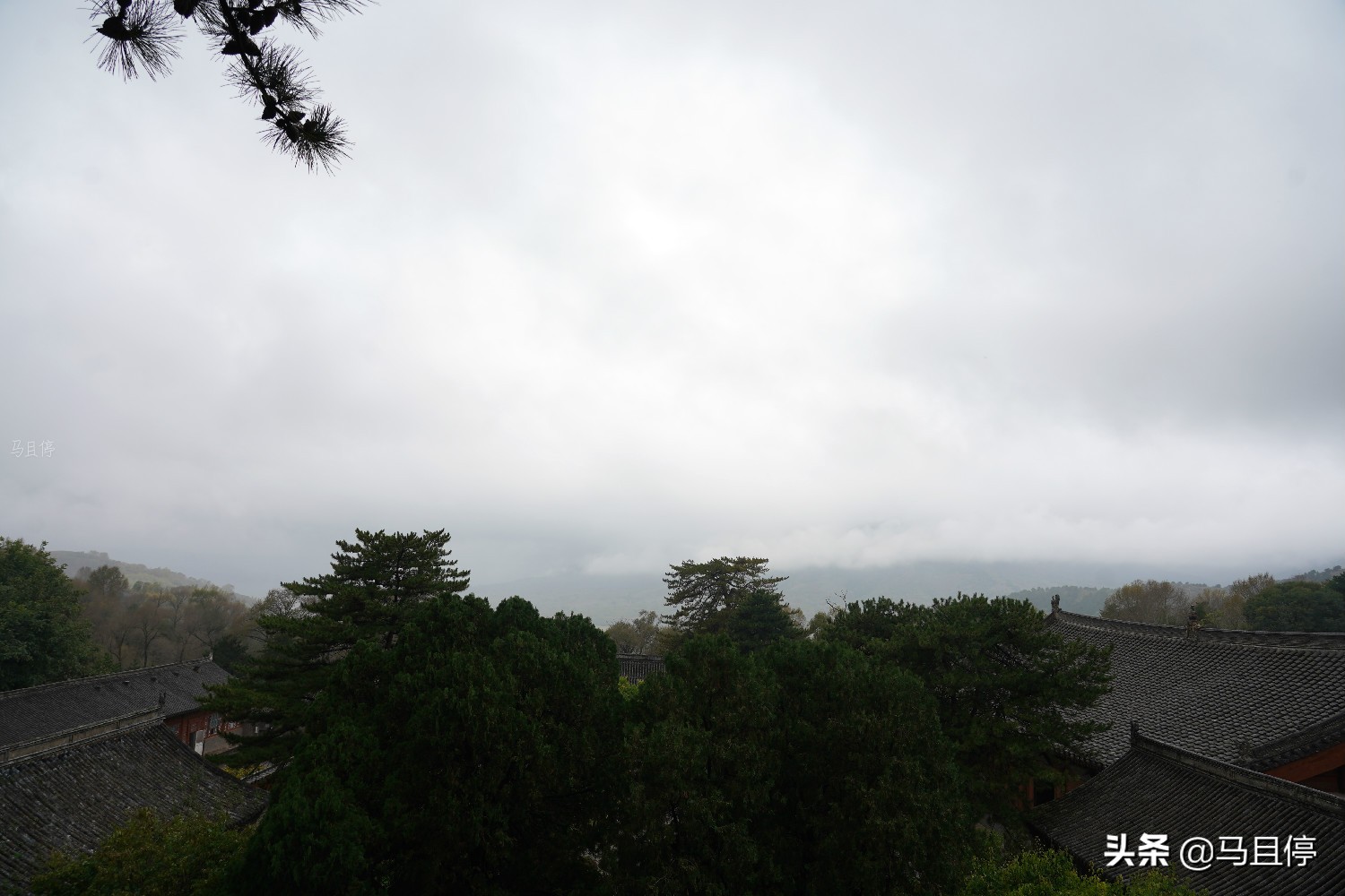 山西有個古寺，游客不多卻藏有中國少有的唐代木建筑，關(guān)鍵還免費